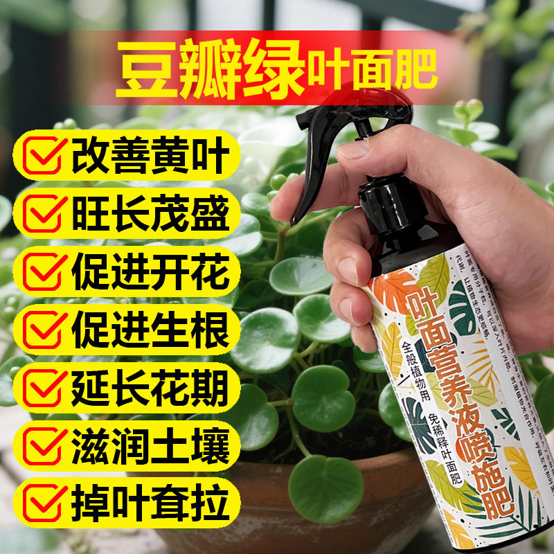 豆瓣绿专用肥料土青叶碧玉营养液叶子发黄黑斑软蔫干瘪掉叶面肥料
