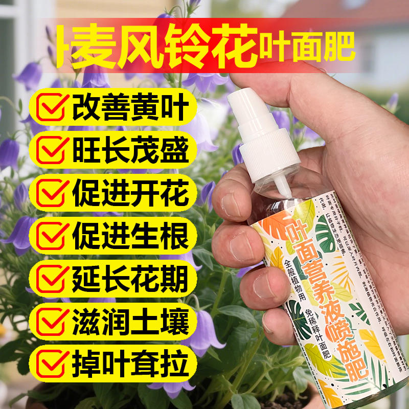 丹麦风铃花专用肥料养殖种植酒杯风铃花肥铃铛花苗营养液叶面肥料