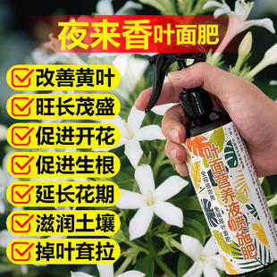 夜来香专用肥料花苗树苗营养液盆栽茂盛旺长生根促发新芽叶面肥料