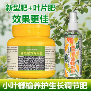 小叶榆树肥料榆树专用肥营养液白榆春榆室内盆景肥榆钱榔榆有机肥