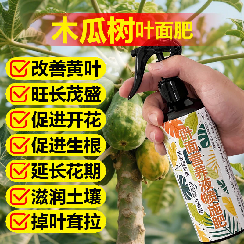 木瓜果树专用肥料盆栽种植木瓜树苗营养液叶面肥颗粒浓缩有机肥料