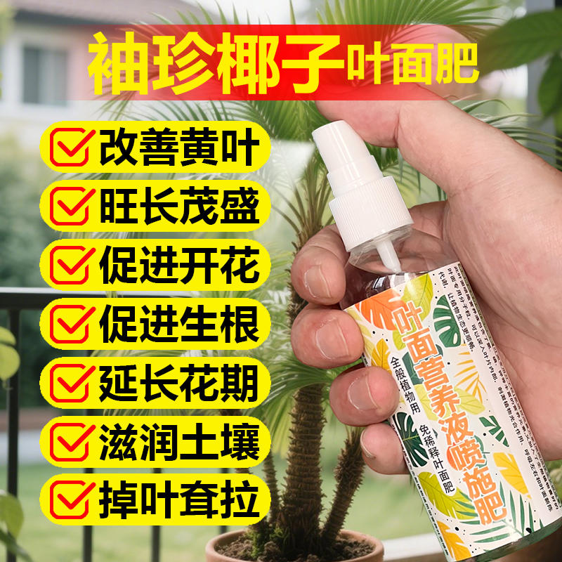 袖珍椰子专用肥料袖珍椰子树专用土培水培花盆栽营养液叶面肥肥料
