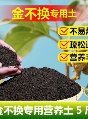 金不换专用土料种植盆栽营养土有机配方施肥即食安全绿色种植家用