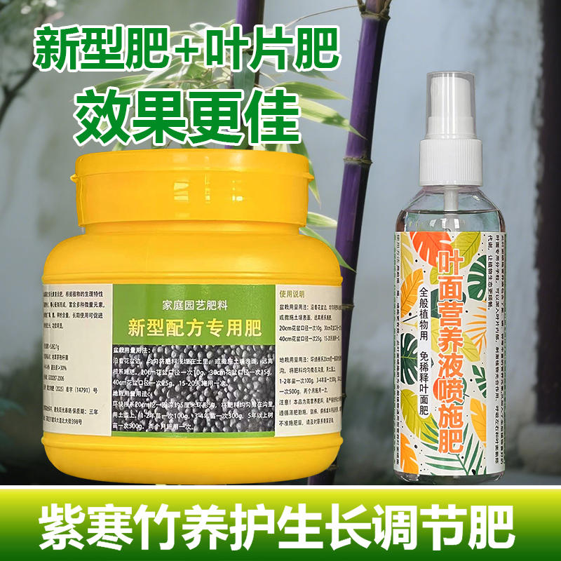 紫寒竹专用肥料红竹米竹观音竹朱竹文竹竹子肥料盆栽红寒竹营养液