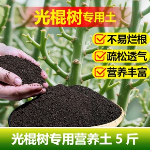 光棍树专用土料养殖花盆栽多肉植物专用土养护营养土喷剂种植家用