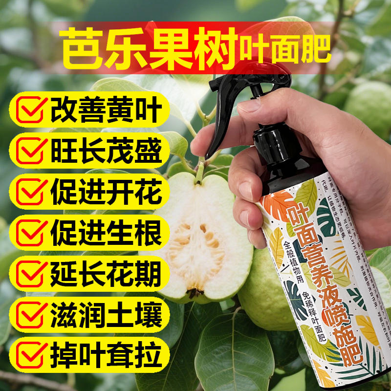 芭乐专用肥料盆栽芭乐树苗旺长生根促发新芽长新叶营养液叶面肥料