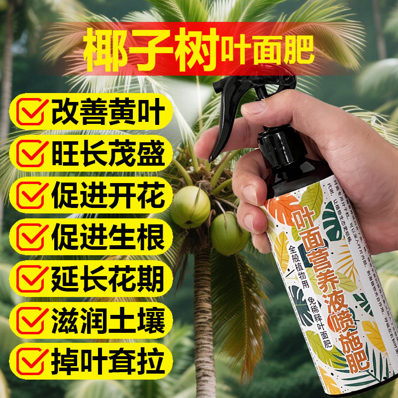 椰子树苗种植盆栽专用肥料营养液小苗盆景有机肥土壤水溶化肥肥料