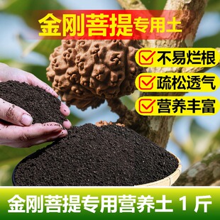 金刚菩提树专用土料营养土叶子发黄掉咻枯萎软叶打蔫黑斑种植家用