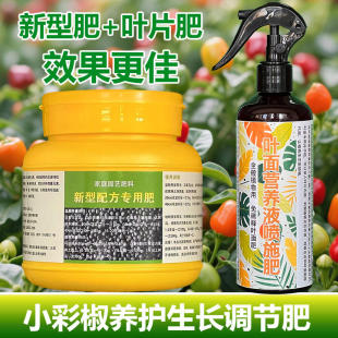小彩椒专用肥料七彩五彩椒辣椒树指天骄朝天椒盆栽营养液叶面肥料