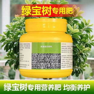 绿宝专用肥料幸福树营养液叶子枯萎黑斑掉叶卷曲黄皱焦尖叶面肥料