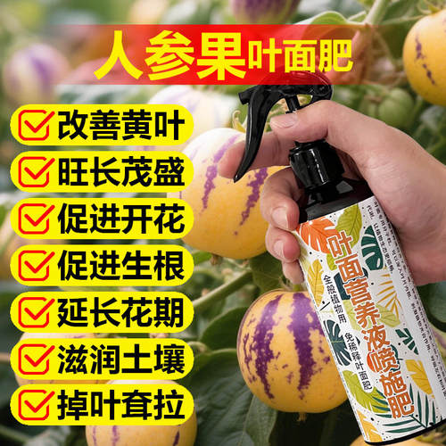 人参果专用肥料盆栽人参果树苗营养液旺长生根发芽促长土培面肥料