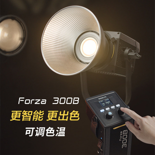 南光Forza 300 II/300B II灯套装LED柔光灯视频拍照常亮灯