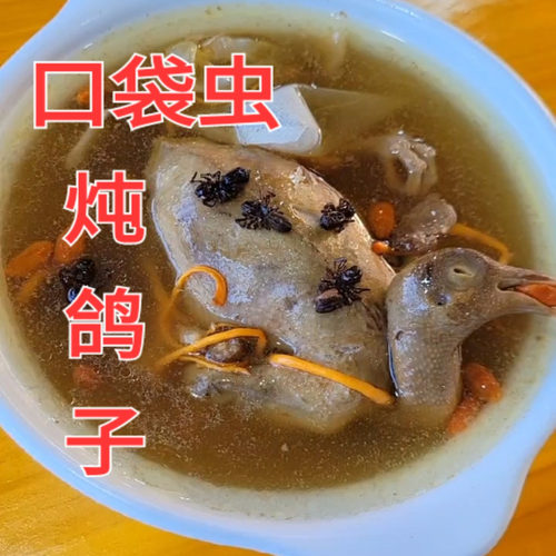 云南腾冲传统特色 儿童小孩治疝 瘦弱 口袋虫炖土鸽子 吃饭挑拣