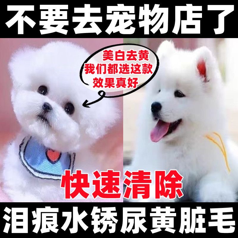 白色狗狗去黄去泪痕漂白去脏剂美白剂去尿黄脏染白色狗毛博美比熊