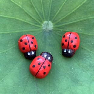 微景观摆件木制甲壳虫七星瓢虫工艺品多肉小配件绿植创意装饰造景