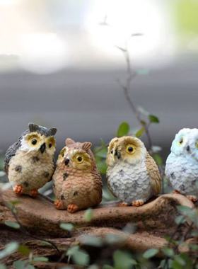 仿真迷你猫头鹰老鹰创意造景摆件