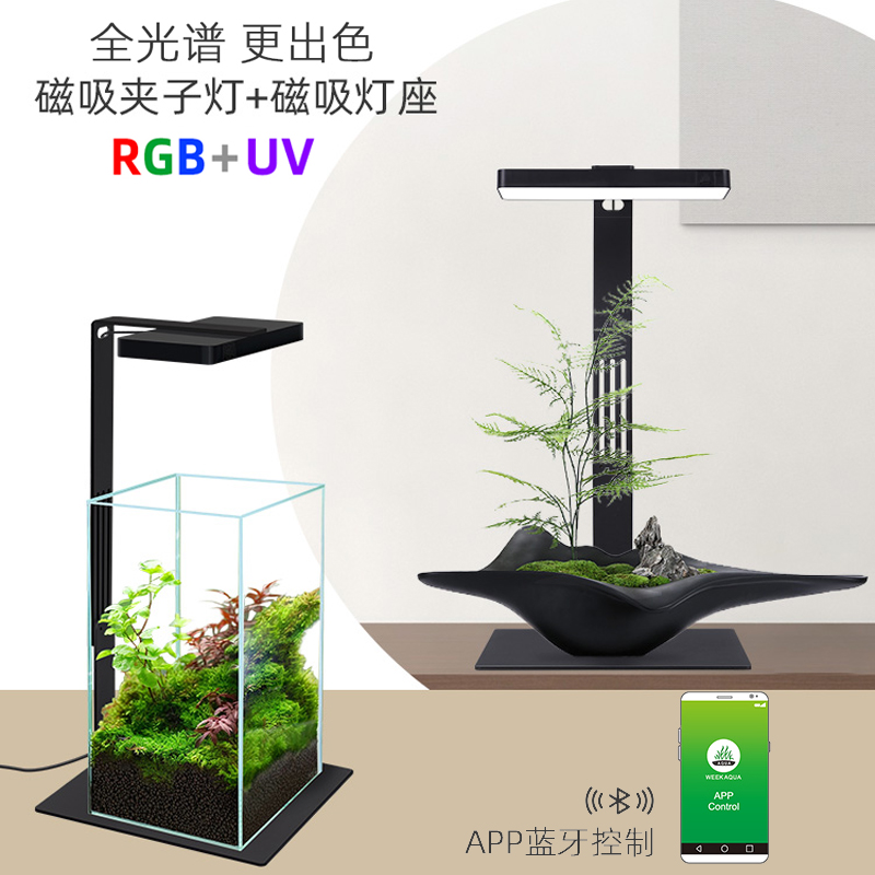 威爾康微景觀燈造景植物補(bǔ)光燈全光譜水陸缸雨林缸創(chuàng)意桌面植物燈