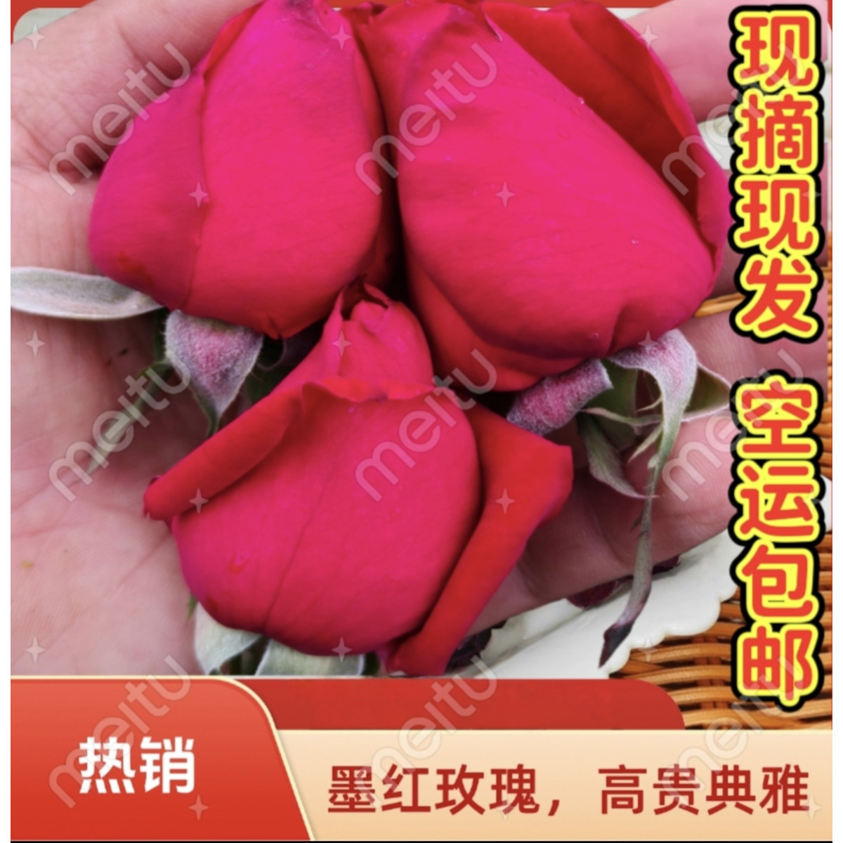 云南可食用玫瑰墨红玫瑰花苞骨朵新鲜现摘空运 玫瑰醋 酵素 纯露图片