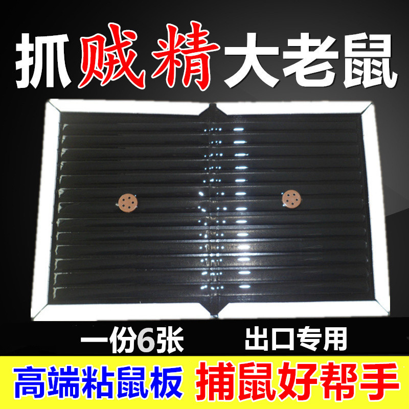 贴板一窝端家用蟑螂药老鼠