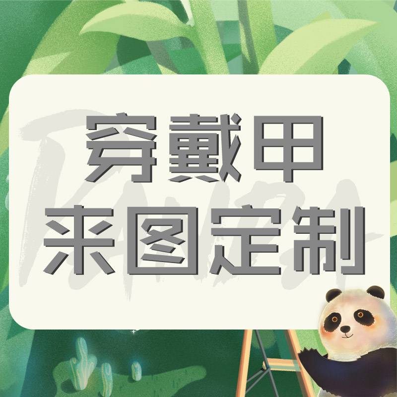 来图定制穿戴甲手绘美甲