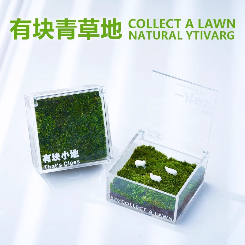 有块草地桌面摆件一片草坪摆件植物办公室内桌面绿植送礼物