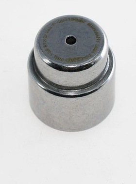 适合迈腾CC速腾高尔夫帕萨特奥迪双离合飞轮滚针轴承 06B105313D