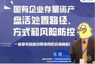 国有企业存量资产盘活