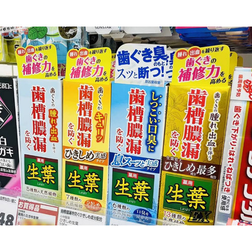 日本小林制药 生叶牙膏 牙龈出血 蛀牙 齿槽浓漏护理100g