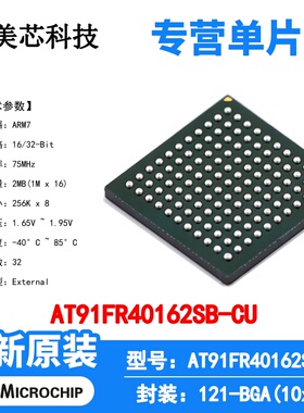 AT91FR40162SB-CU Microchip 微控制器 单片机 MCU 芯片 原装 IC