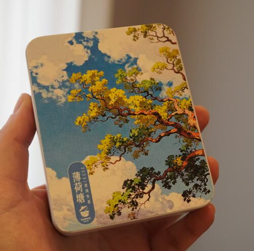 0822返场/薄荷塘/普洱生茶/2025年/6克*6颗龙珠 146元 库存 80盒