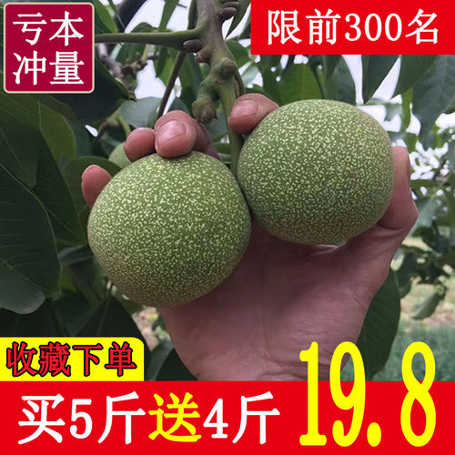 陕西2026年新鲜青皮核桃