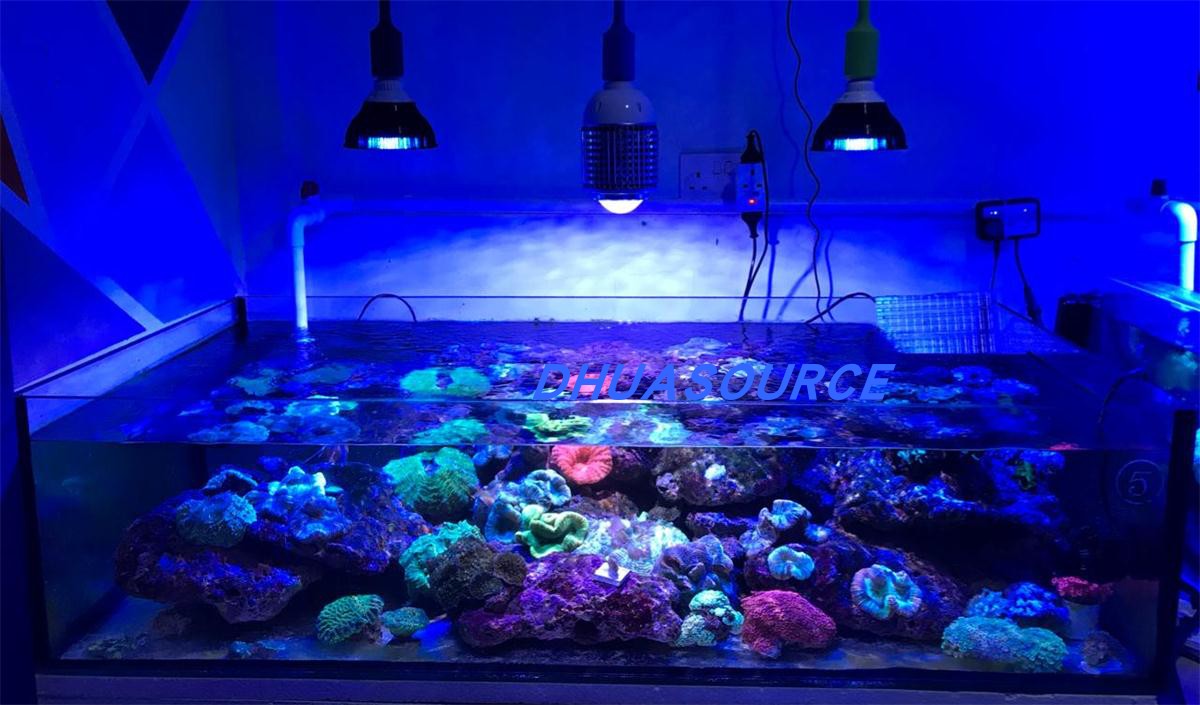 定制E27 E40 30W LED藻缸灯 鱼缸灯 水族灯 珊瑚灯 Coral light