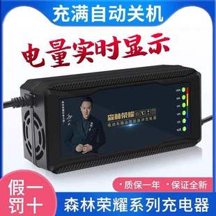 森林荣耀电动车三轮电瓶充电器48V12A60V2072V伏脉冲修复原装 断电