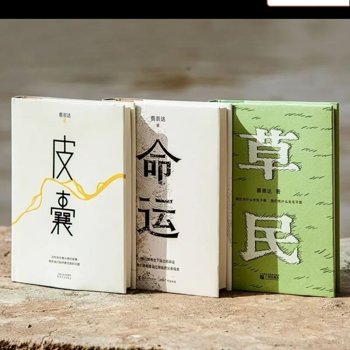 【套装3册】蔡崇达金色故乡三部曲 草民+命运+皮囊 我人生最开始的好朋友 作家新书全新中短篇小说集收官之作 新华正版 畅销书籍