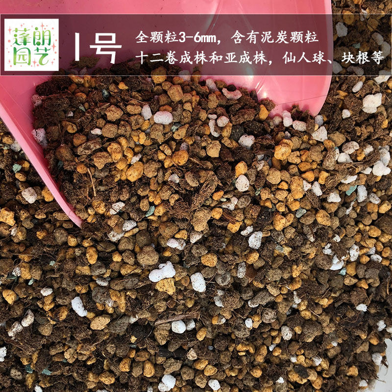 蓬朗1号万象山 精品十二卷多肉土万象玉扇寿多肉植物种植营养土