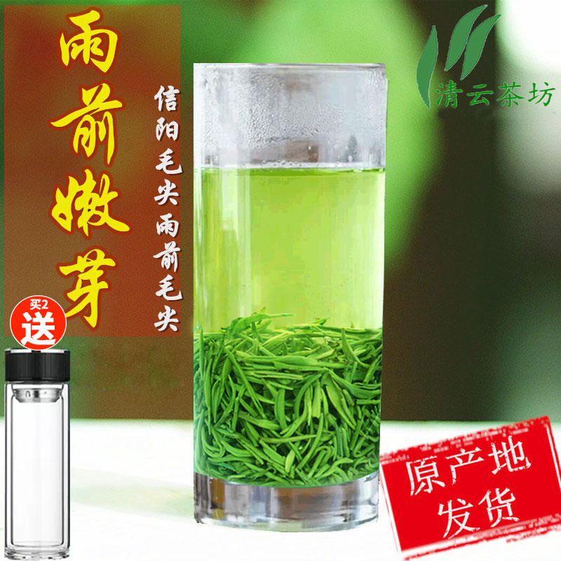 雨前信阳毛尖2025新茶茶叶绿茶特级雨前嫩芽春茶高山自产自销250g