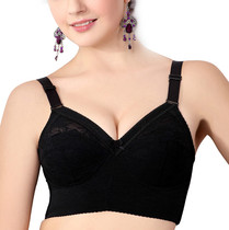 Coques pour soutien-gorge - Ref 818337 Image 13