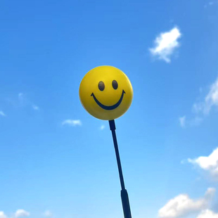 笑脸车顶泡沫天线球大众minicooper汽车天线装饰卡通可爱宏光迷你