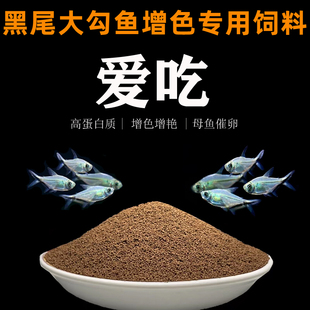 黑尾大勾鱼饲料曼龙鱼一眉道人黑尾背勾增色鱼粮小型观赏鱼鱼食