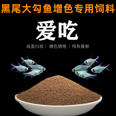 黑尾大勾鱼饲料曼龙鱼一眉道人黑尾背勾增色鱼粮小型观赏鱼鱼食