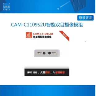 CAM-C1109S2U智能双目摄像模组, RV1109 人脸识别 AI机器视觉