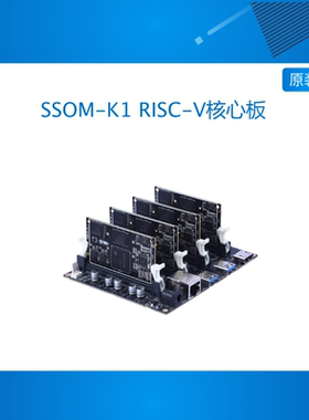 Bit-Brick SSOM-K1 RISC-V核心板 全国产 可搭建集群 2T算力