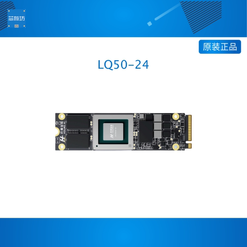 AI计算卡智算卡160TOPS@INT8后摩智能LQ50-24 M.2接口 全国产化