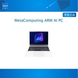 with Framework MetaComputing Laptop ARM