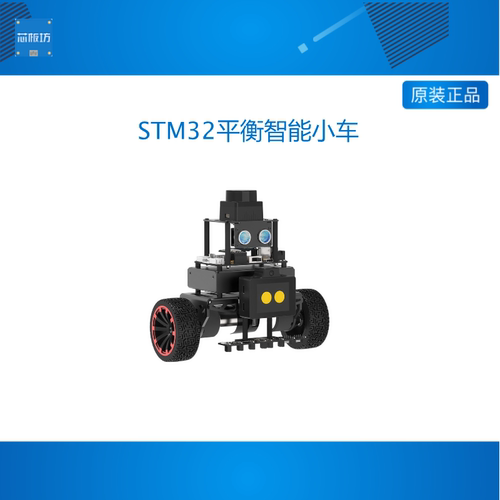 STM32平衡智能小车miniBalan雷达避障视觉识别AI大模型编程机器人