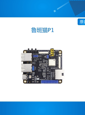 野火鲁板猫P1卡片电脑算能SG2000开发板Linux学习RISC-V C906 ARM