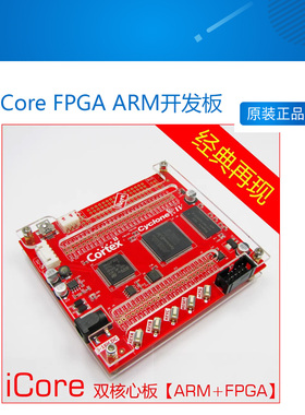 银杏科技厂家直销 iCore FPGA ARM开发板 STM32 CYCLONE4 单片机