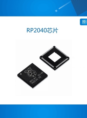 RP2040芯片 树莓派Pico Raspberry Pi  RP2040 Microcontroller