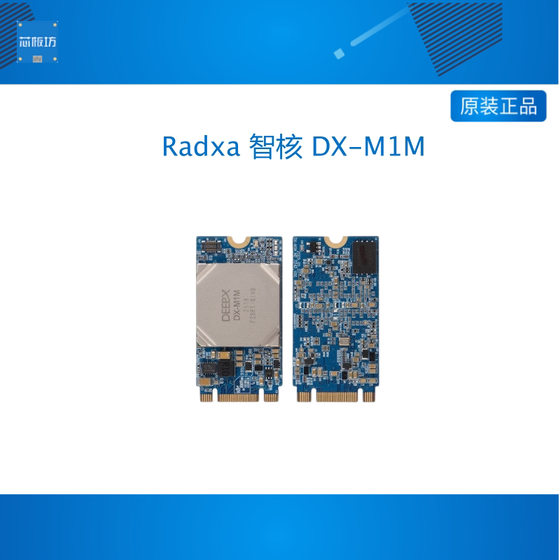 瑞莎 Radxa 智核 DX-M1M 边缘 AI 加速模组 加速卡 25 TOPS算力