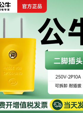 公牛黄色工程电源电线二极插头两插二脚两孔两脚二极两项2脚2P10a